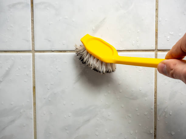 Best Office Mold Removal Services  in Tinley Park, IL