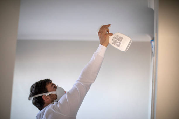 Best Best Mold Removal Companies  in Tinley Park, IL