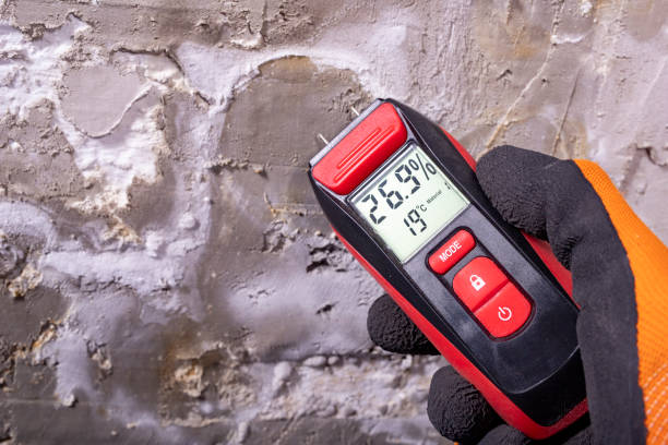Tinley Park, IL Mold Removal Company