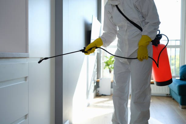 Best Toxic Mold Removal  in Tinley Park, IL