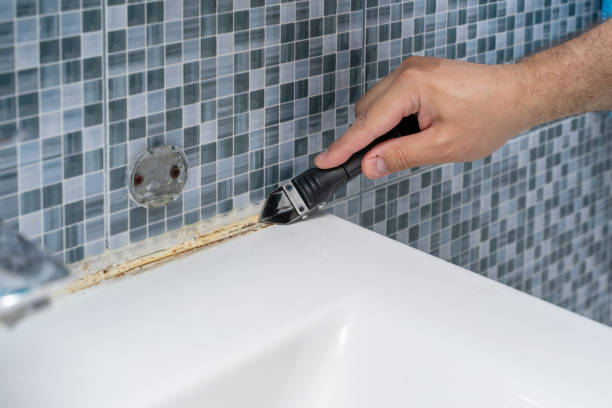 Best Mold Damage Repair  in Tinley Park, IL